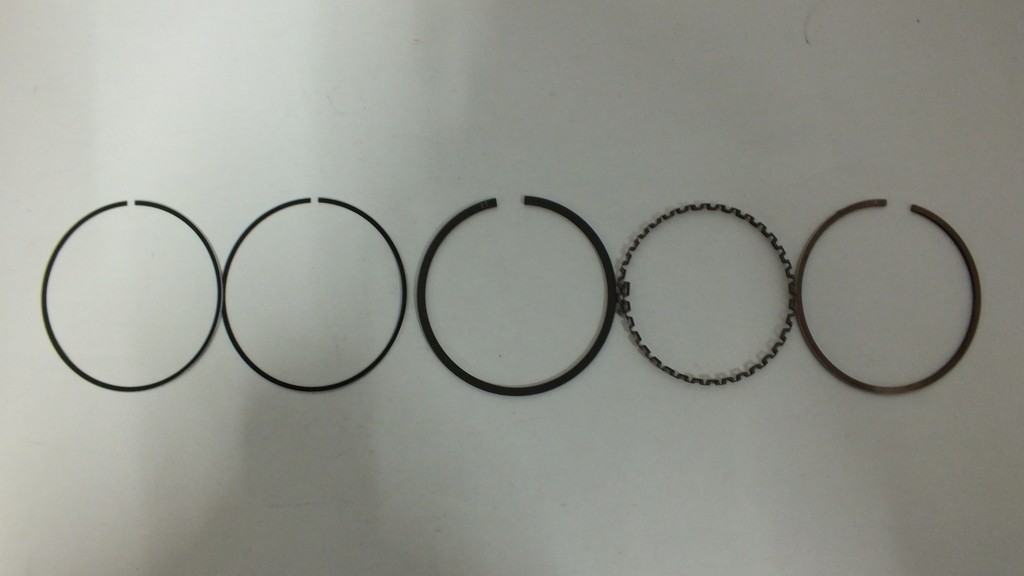 SEGMAN STD